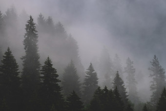 Real FM Blog 10 1